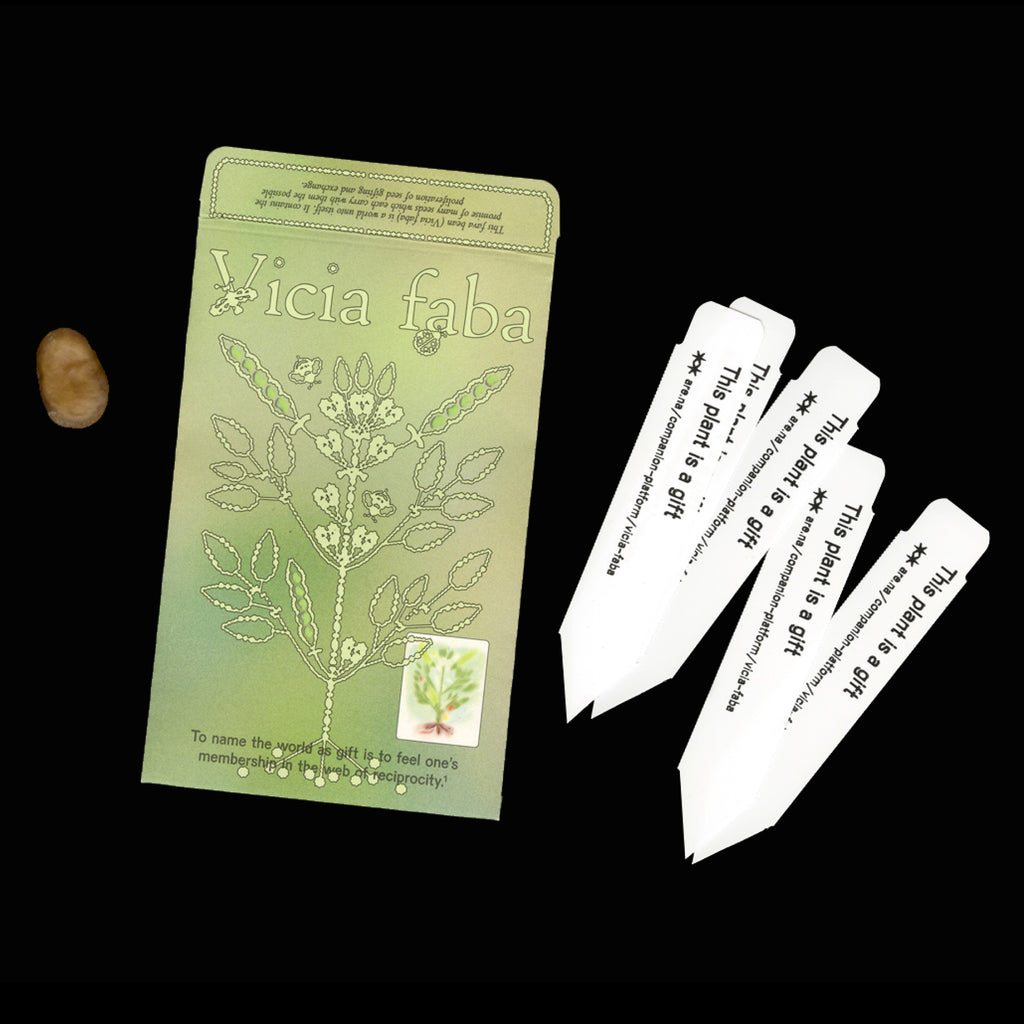 Vicia Faba - Seed Packet (Single Fava Bean)